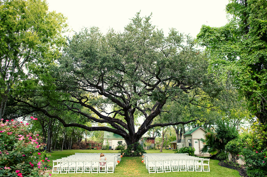 Wedding Ceremony Tree
